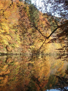 Les rives du Doubs hébergement de charme
